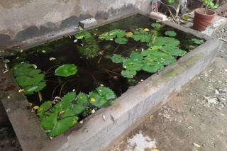 Aashirwad Delight 1 Jaipur Homestay - 1