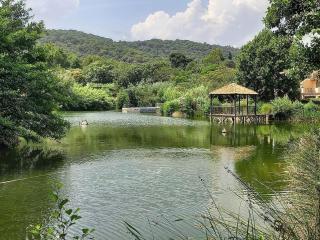 Charmant T2 de 34m2 en Résidence de standing à Grimaud - Piscines - Jardinet - Plein coeur du Golfe de St Tropez- Pleine nature - Grimaud - 1