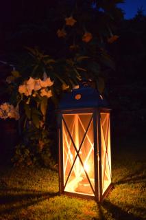 LandZAUBER Apartment Ferienwohnung - 9