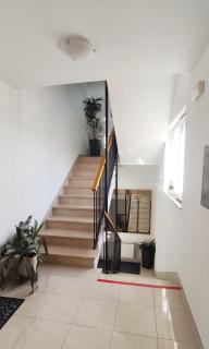 Ivana apartman 3 - Crikvenica - 1