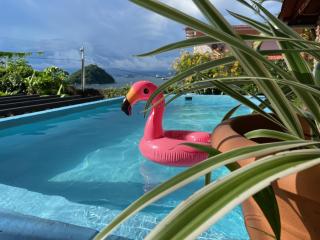 Cerrito Tropical Eco Lodge - Taboga - 8