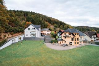 Deluxe - Nationalpark - groß, erholsam, familienfreundlich, extras - Ellweiler - 8
