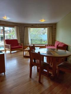 Departamento Centro San Martin de los Andes - San Martín de los Andes - 5