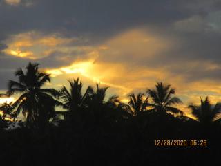 Pelicano Tropical Paraiso Samana - Santa Bárbara de Samaná - 6