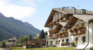 Alpine Touring Hotel-petfriendly - Pozza di Fassa - 3