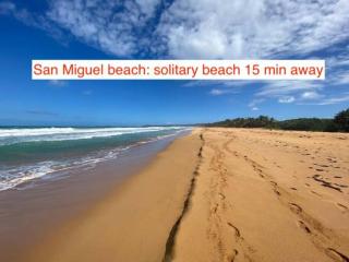 Huge Porch House in Rainforest 15 min from Beach - 6