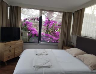 Romantic Mansion - Istanbul - 7