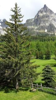 Hotel Locanda Belvedere - Courmayeur - 4