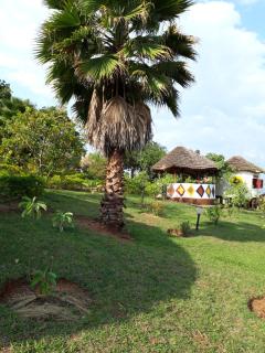 NENA HOUSE - 3
