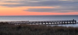 Haus Nadine - Zingst - 5
