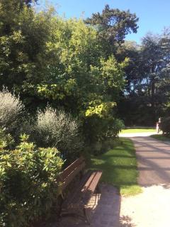 Sweetie Flat - Cherbourg en Cotentin - 7