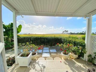 The Gem is located a few minutes walk to the gorgeous Bottom Bay Beach - Saint Philip - 8