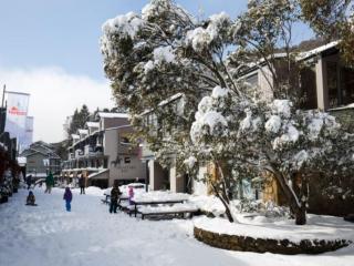 Squatters Run 12 - Thredbo - 1