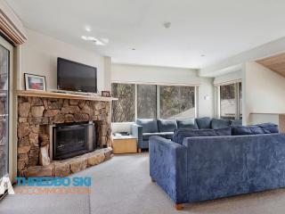 The Lodge 3 and 4 - Thredbo - 9