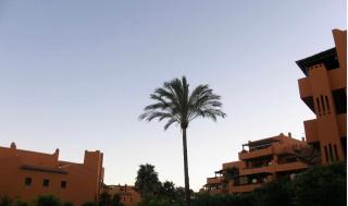 Precioso apartamento con jardín y piscina comunitaria - Estepona - 9