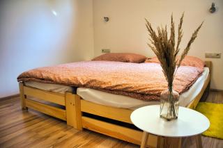 Pod Lipou - AND Apartment 2 - Liptovský Mikuláš - 6