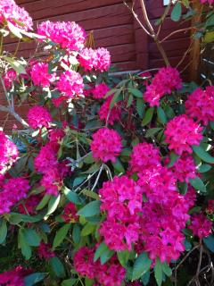 Soldattorpet Sands - 5