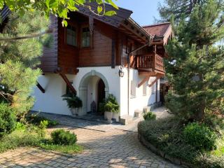 Maris Luxus-Bergvilla - Bodensdorf - 9