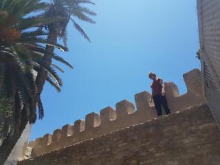 Aghata Palms Riad - Essaouira - 6