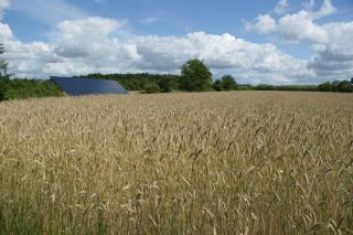 Lustrup Farmhouse - 7