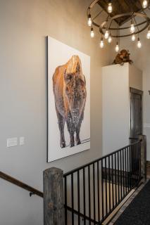 My Yellowstone Retreat - 9