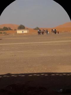 Gamra Desert Camp - 6