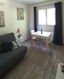 T1 cosy climatisé indépendant sur prop privée à Sanguinet - lac, océan, Bassin d'Arcachon, Dune du Pyla - Sanguinet - 4