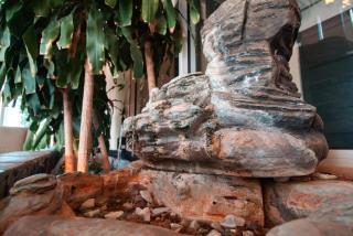 Express inn & suites - 5