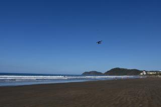 12B Jaco Sol Quadplex - 6