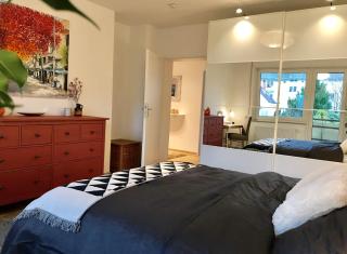 Big flat near BASF/FREE parking/Netflix/Fast Wifi - Ludwigshafen am Rhein - 0