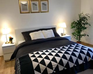 Big flat near BASF/FREE parking/Netflix/Fast Wifi - Ludwigshafen am Rhein - 3