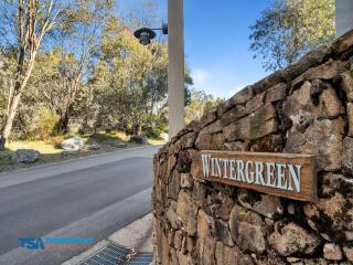 Wintergreen 5 - Thredbo - 7