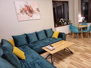 City Inn Premium Apartment - Timişoara - 3