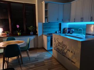City Inn Premium Apartment - Timişoara - 7