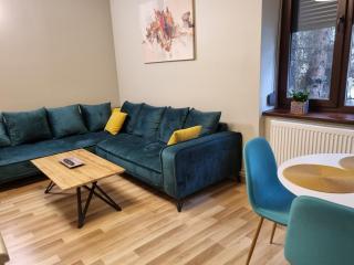 City Inn Premium Apartment - Timişoara - 8