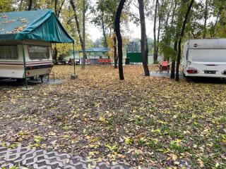 Tisza-beach wild camping 5 - Szeged - 9