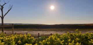 Horizon, en bord de plage - Marennes - 8