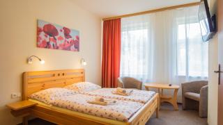 Pension U Koupaliště - Tisá - 7