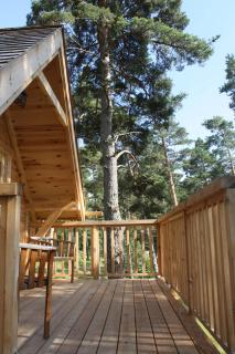 Cabane Lodge Domaine du Lac Chambon - Murol - 4
