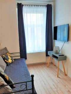 Citywohnung Südliche Innenstadt II - Halle an der Saale - 8