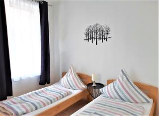 Citywohnung Südliche Innenstadt II - Halle an der Saale - 0