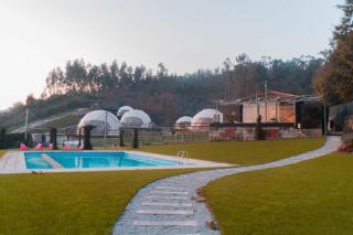 Guimaglamp - Guimarães - 8