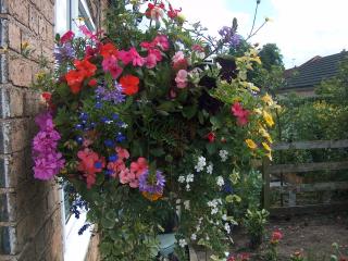 Hillcroft Luxury Bed & Breakfast - Fangfoss - 7