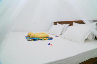 Sanda Hiru Guest - 1