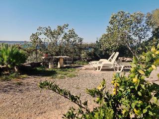 Holiday home in Starigrad-Paklenica 34262 - 0