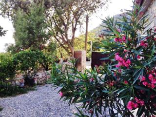Holiday home in Starigrad-Paklenica 34262 - Starigrad-Paklenica - 8