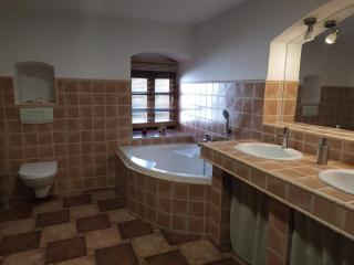 Forest Rustic Apartment Brdy - Buková - 1