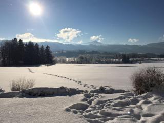 Ferienwohnung Rottachseeblick - 9