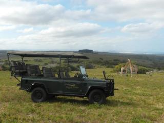 Fijnbosch Game Lodge Jeffreys Bay - Jeffreysbaai - 1