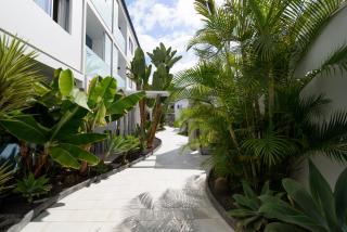 Cozy Appartment in the CITY CENTER - Corralejo - 6